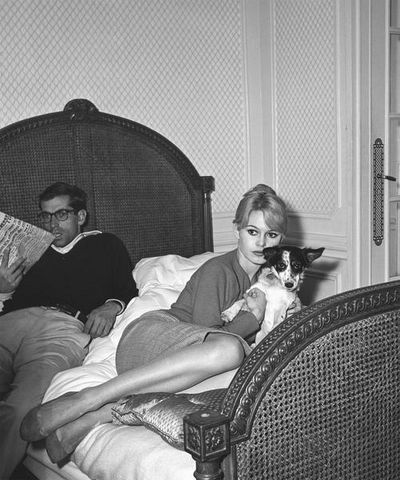 Celebrity Pets - Brigitte Bardot und Roger Vadim mit ihrem kleinen Mischling