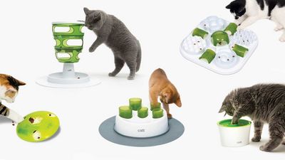 Stilvolle Lösungen für Hund und Katze