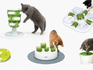 Stilvolle Lösungen für Hund und Katze