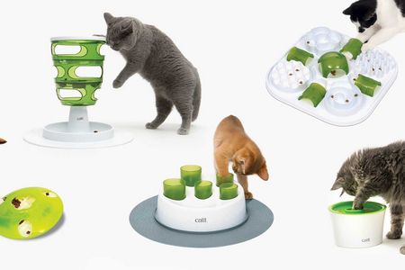 Stilvolle Lösungen für Hund und Katze
