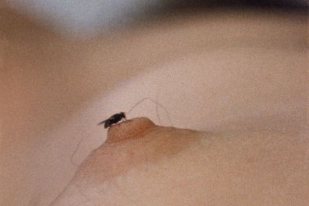 Yoko Ono - Half-a-wind show ausstellung in der kunsthalle krems