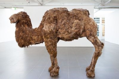 nancy graves retrospektive aachen