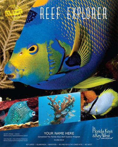 Reisen Florida Keys Reef Explorer Heft Reisen Florida Keys Reef Explorer Heft