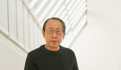 Der chinesische Kuenstler Huang Yong Ping