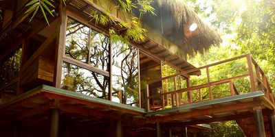 Als Stelzenbau mit offener Glasfassade bietet das Restaurant des Diyabubula Blick auf den Regenwald