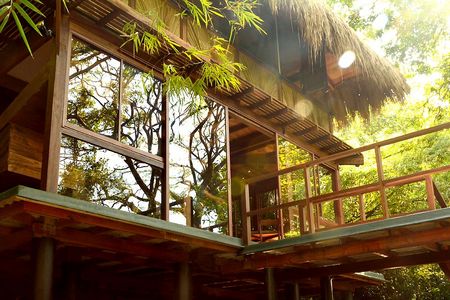 Als Stelzenbau mit offener Glasfassade bietet das Restaurant des Diyabubula Blick auf den Regenwald