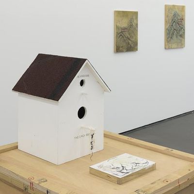 cody choi duesseldorf
