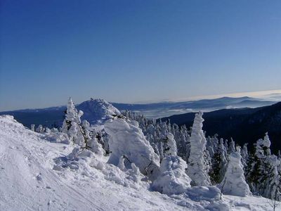 Urlaub in Bayern auf dem Bodenmaiser Hof soll ja auch ganz schoen sein wie die GFDK Urlaub und Reise-Redaktion findet