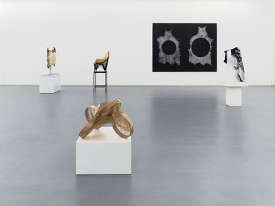 Brian Jungen kunstverein bonn