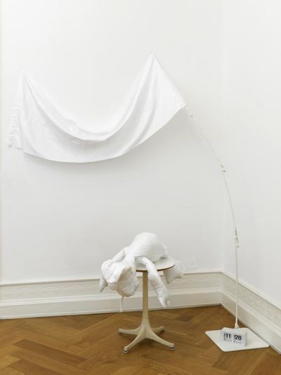 Werk von Cosima von Bonin