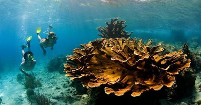 Ein Service speziell für Naturliebhaber auf Curacao