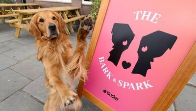 Wau! Mit Hund flirtet es sich beim Tinder-Event noch besser