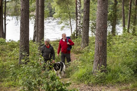 Reisen Pilgern mit TT Line Wandern im Wald
