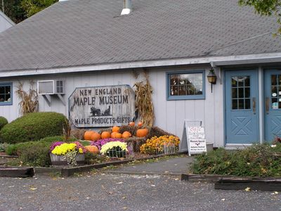Reisen USA Rundreise Herbstbaum