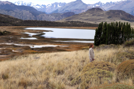 Millionen für ein Naturparadies - Chiles Patagonien in Gefahr