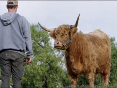 Alle erdenklichen Haus- und Wildtiere leben auf der Farm