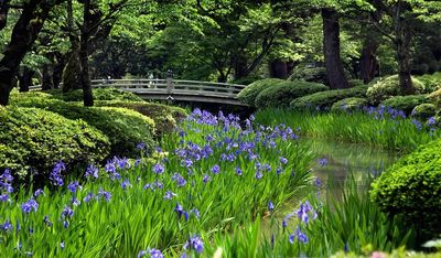 Reisen Hokuriko Kenroku Garden Reisen Hokuriko Kenroku Garden