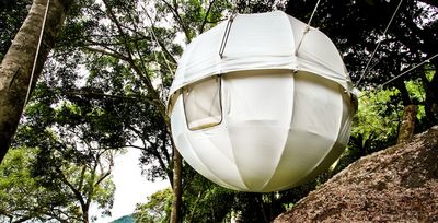 Cocoon Baumhaus