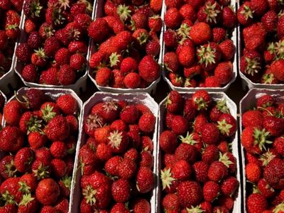 Erdbeeren
