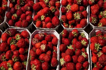 Erdbeeren