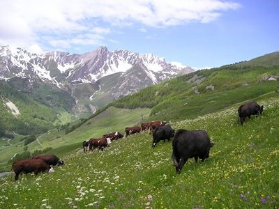 Reisen Valle del Gran San Bernardo