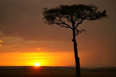 Sonnenuntergang Masai Mara
