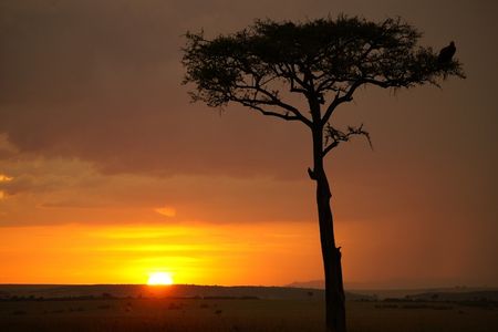 Sonnenuntergang Masai Mara