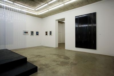 KLAUS NOMI – 2013 ausstellung neuer aachener kunstverein
