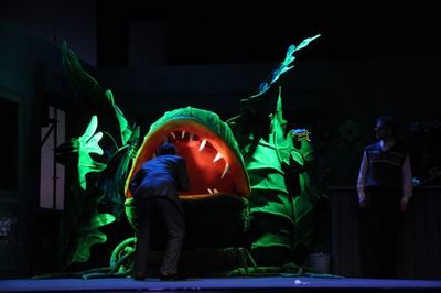 Volkstheater Rostock: Der kleine Horrorladen - Little Shop of Horrors, Premere heute Großes Haus
