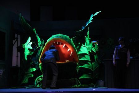 Volkstheater Rostock: Der kleine Horrorladen - Little Shop of Horrors, Premere heute Großes Haus