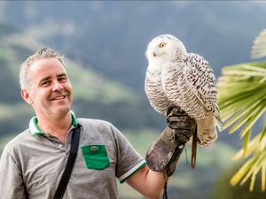 Das Hotel Panorama in Schenna Suedtirol veranstaltet fuer große und kleine Gäste regelmäßig eine Falkenschau Das Hotel Panorama in Schenna Suedtirol veranstaltet fuer große und kleine Gäste regelmäßig eine Falkenschau