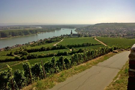 Nierstein - Weinprobe bei Vollmond