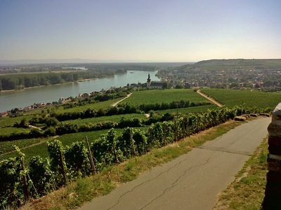 Nierstein - Weinprobe bei Vollmond
