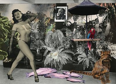 Werk von Thomas Draschan