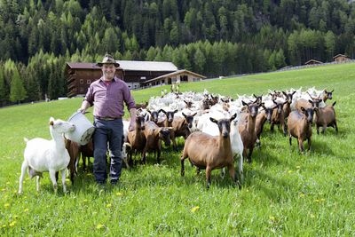 Essen und Trinken Osttirol Bauer