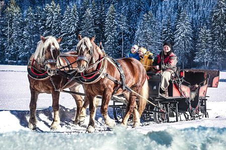 Der gesundheitstouristische Erlebnisraum Lebensspur Lech kann in Holzgau in Oesterreich auch im Rahmen einer Pferdeschlittenfahrt erkundet werden