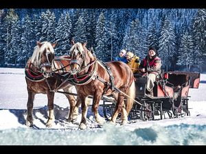 Der gesundheitstouristische Erlebnisraum Lebensspur Lech kann in Holzgau in Oesterreich auch im Rahmen einer Pferdeschlittenfahrt erkundet werden Der gesundheitstouristische Erlebnisraum Lebensspur Lech kann in Holzgau in Oesterreich auch im Rahmen einer Pferdeschlittenfahrt erkundet werden
