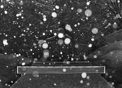 Alec Soth ausstellung Alec Soth ausstellung
