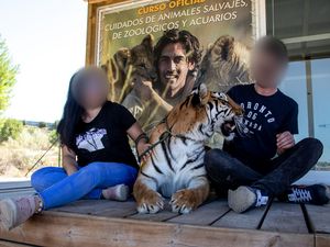 Tierquaelerei fuer die Unterhaltungsindustrie auch in Deutschland Tierquaelerei fuer die Unterhaltungsindustrie auch in Deutschland