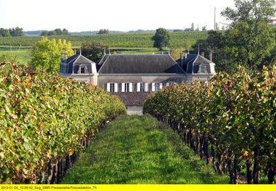 Reisedokumentation "Bordeaux - Ferien auf dem Weingut"