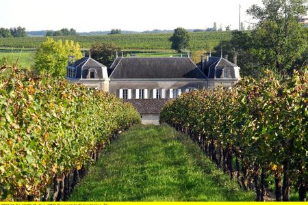 Reisedokumentation "Bordeaux - Ferien auf dem Weingut"