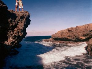 Für Naturliebhaber ist Curacao ein Reiseparadies, wie man es selten erlebt, Leguane, Echsen und mit etwas Glueck sogar Curaçao-Hirsche kann man hier treffen Für Naturliebhaber ist Curacao ein Reiseparadies, wie man es selten erlebt, Leguane, Echsen und mit etwas Glueck sogar Curaçao-Hirsche kann man hier treffen