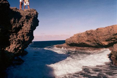 Für Naturliebhaber ist Curacao ein Reiseparadies, wie man es selten erlebt, Leguane, Echsen und mit etwas Glueck sogar Curaçao-Hirsche kann man hier treffen