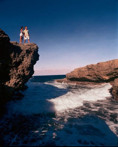 Für Naturliebhaber ist Curacao ein Reiseparadies, wie man es selten erlebt, Leguane, Echsen und mit etwas Glueck sogar Curaçao-Hirsche kann man hier treffen
