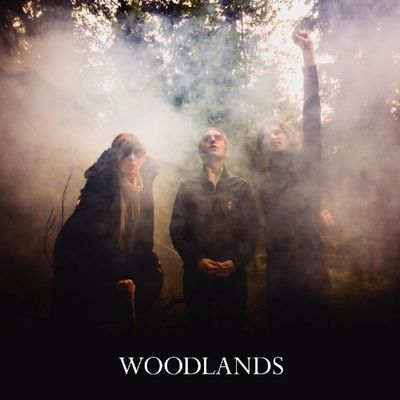 Album Woodlands des Trios Woodlands