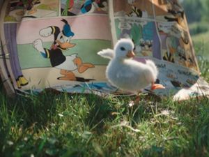 Donald Duck, die tollpatschigste und bekannteste Ente der Welt, hat schon immer Kinder gluecklich gemacht