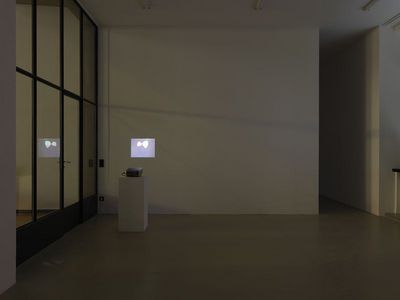 Eva Raschpichlera ausstellung nuernberg Eva Raschpichlera ausstellung nuernberg