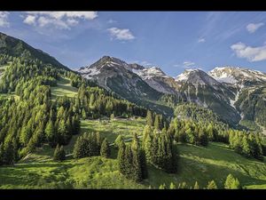 Die gemuetliche Nessler Alm oberhalb von Pettneu in der Tiroler Urlaubsregion St. Anton am Arlberg ist ueber mehrere Forst- und Wanderwege erreichbar Die gemuetliche Nessler Alm oberhalb von Pettneu in der Tiroler Urlaubsregion St. Anton am Arlberg ist ueber mehrere Forst- und Wanderwege erreichbar