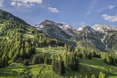 Die gemuetliche Nessler Alm oberhalb von Pettneu in der Tiroler Urlaubsregion St. Anton am Arlberg ist ueber mehrere Forst- und Wanderwege erreichbar