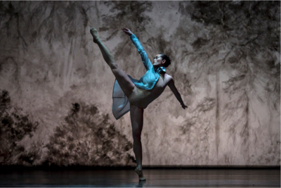 ballett theater wiesbaden ballett theater wiesbaden